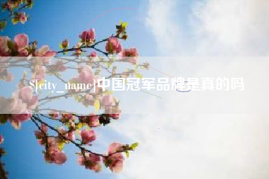 海丰中国冠军品牌是真的吗