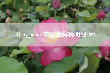 海丰中国金牌榜明细2021