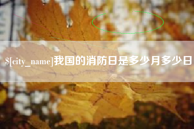 海丰我国的消防日是多少月多少日