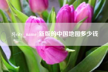 海丰新版的中国地图多少钱