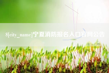 海丰宁夏消防报名入口官网公告