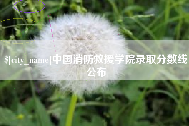 海丰中国消防救援学院录取分数线公布