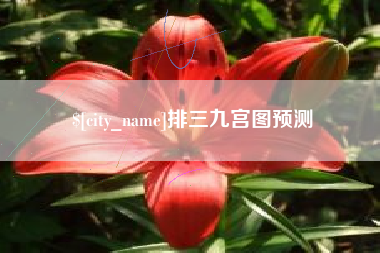 海丰排三九宫图预测