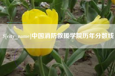 海丰中国消防救援学院历年分数线