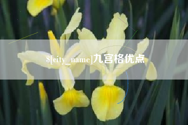 海丰九宫格优点