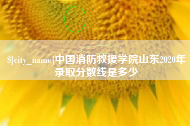 海丰中国消防救援学院山东2020年录取分数线是多少