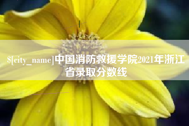 海丰中国消防救援学院2021年浙江省录取分数线