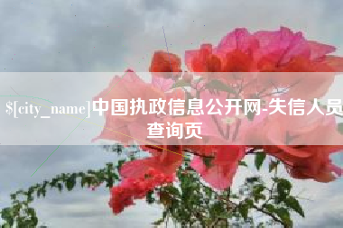 海丰中国执政信息公开网-失信人员查询页