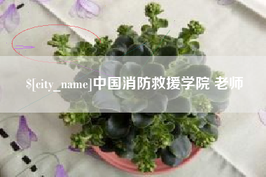 海丰中国消防救援学院 老师