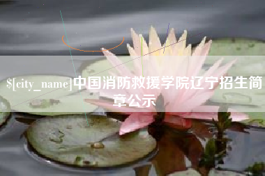 海丰中国消防救援学院辽宁招生简章公示