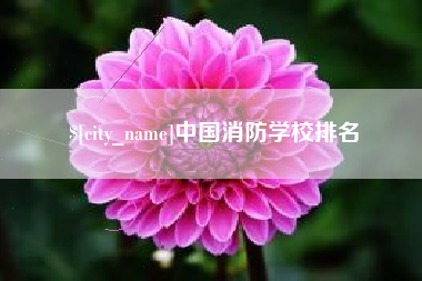 海丰中国消防学校排名