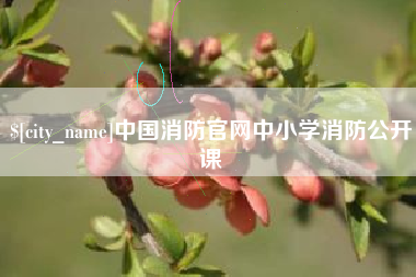 海丰中国消防官网中小学消防公开课