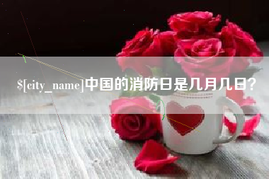 海丰中国的消防日是几月几日？