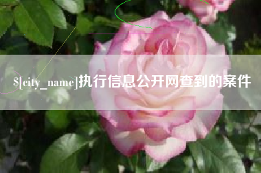 海丰执行信息公开网查到的案件