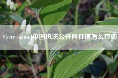 海丰中国执法公开网征信怎么查询