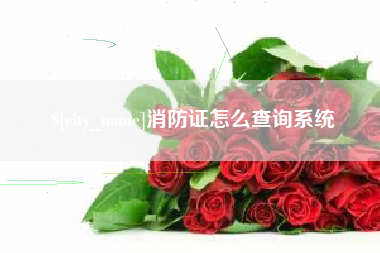 海丰消防证怎么查询系统