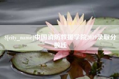 海丰中国消防救援学院2019录取分数线