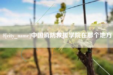 海丰中国消防救援学院在那个地方