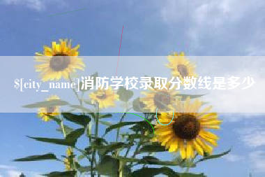 海丰消防学校录取分数线是多少