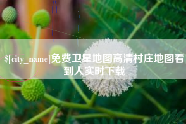 海丰免费卫星地图高清村庄地图看到人实时下载