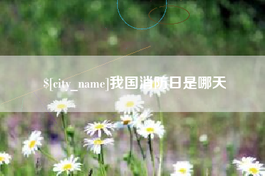 海丰我国消防日是哪天