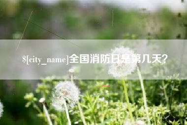 海丰全国消防日是第几天？