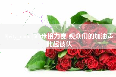 海丰500米接力赛-观众们的加油声此起彼伏