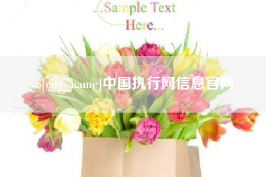 海丰中国执行网信息官网