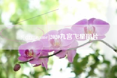 海丰2020九宫飞星图片