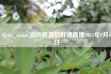 海丰消防教育公开课直播2024年9月6日