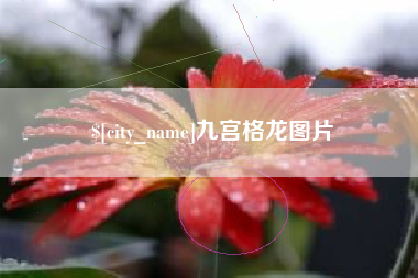 海丰九宫格龙图片