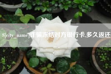 海丰诈骗冻结对方银行卡,多久返还