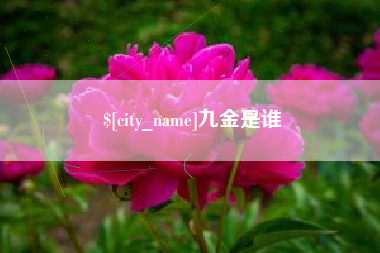海丰九金是谁