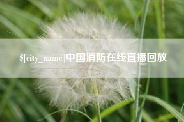 海丰中国消防在线直播回放