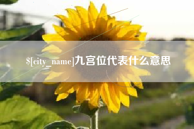 海丰九宫位代表什么意思