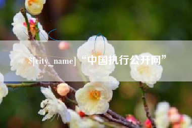 海丰“中国执行公开网”