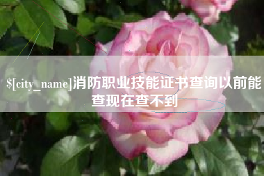 海丰消防职业技能证书查询以前能查现在查不到