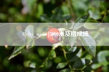 海丰5000米及格成绩