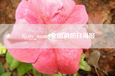 海丰全国消防日海报