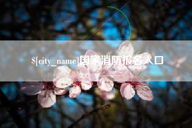 海丰国家消防报名入口
