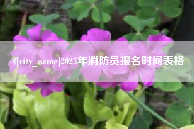 海丰2025年消防员报名时间表格