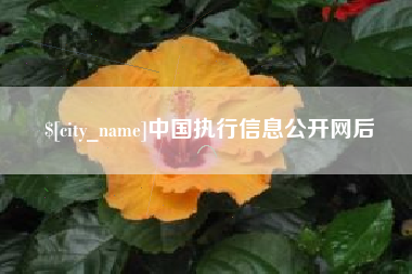 海丰中国执行信息公开网后