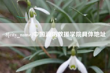 海丰中国消防救援学院具体地址