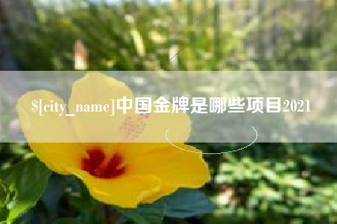 海丰中国金牌是哪些项目2021