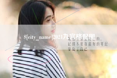 海丰2021九宫格配图