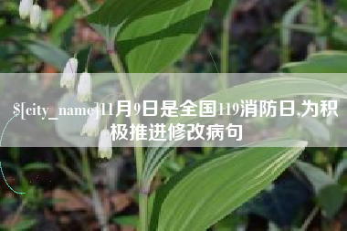 海丰11月9日是全国119消防日,为积极推进修改病句