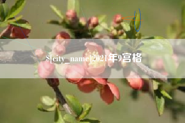 海丰2021年9宫格