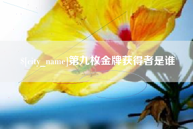海丰第九枚金牌获得者是谁