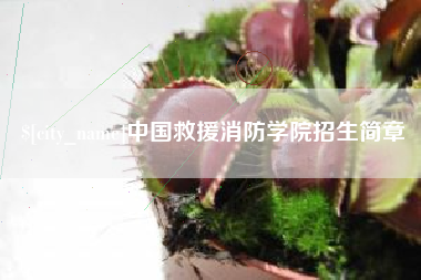 海丰中国救援消防学院招生简章