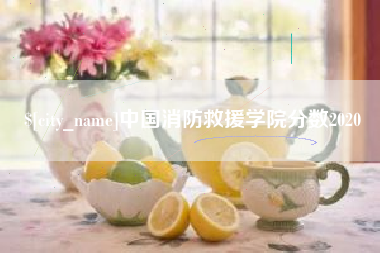 海丰中国消防救援学院分数2020
